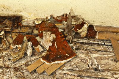 Wood Rot And Moisture Damage In Outdoor Structures